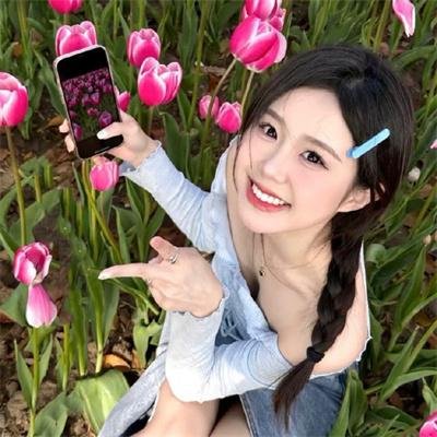 动物狂想曲第二季