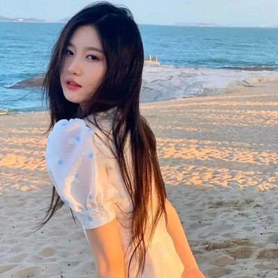 安妮莱伯维兹的浮华世界